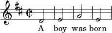{ \set Score.automaticBars = ##f \key d \major \time 2/2 \relative c' {d2 \bar "|" e2 g2 \bar "|" e2} \addlyrics {وُلِدَ صبيٌّ} }