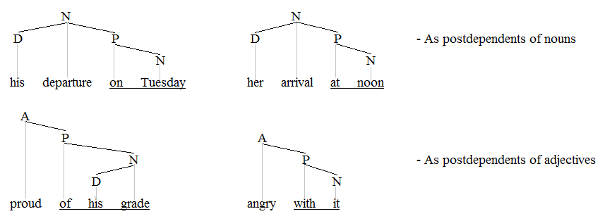 جمل قصيرة حول الأسماء والصفات