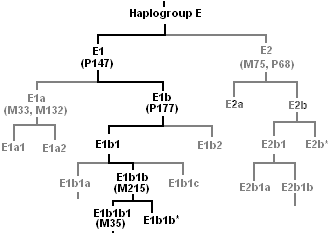 خريطة أصول E1b1b1