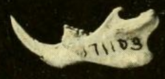 فك.