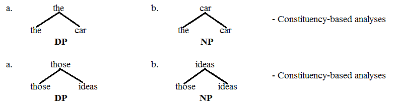 DP مقابل NP 6