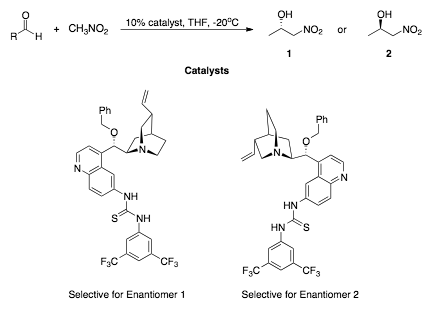 تشينشورا