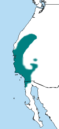 خريطة النطاق