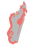 خريطة النطاق