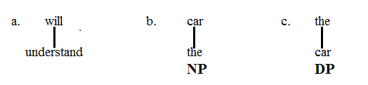 NP مقابل DP 1.1