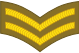 عريف