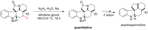 Scheme 18. Synthsesis of Aspidospermidine