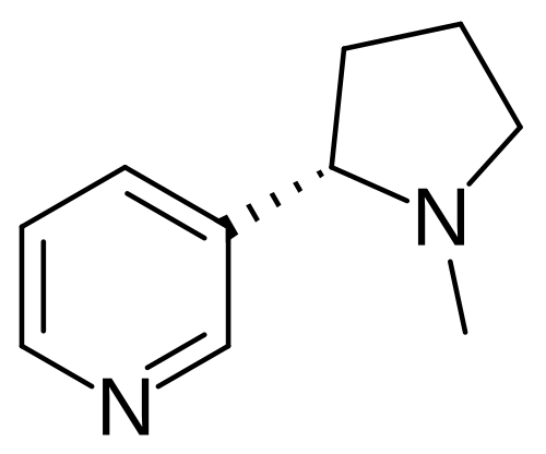 النيكوتين