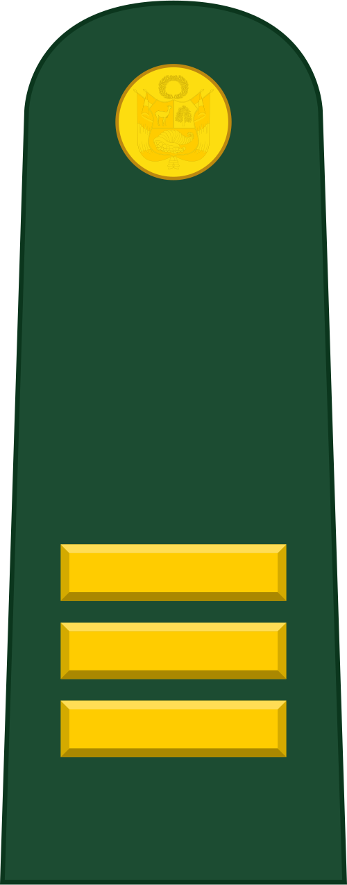 قبطان