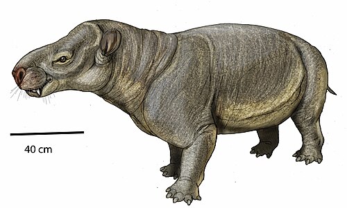 إعادة بناء الحياة لـ Asiocoryphodon conicus