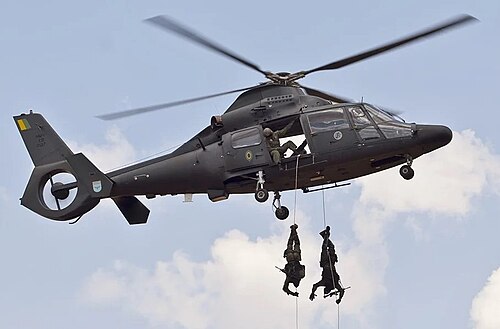 مشاة محمولون جواً مزودون بطائرة بانثر AS565 تابعة لقيادة الطيران