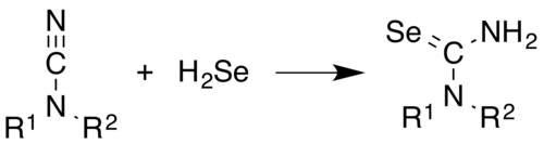 تفاعل السيلينويوريا