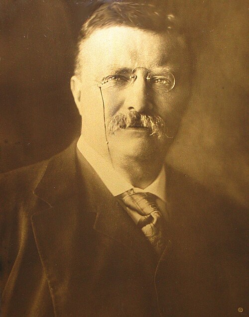 صورة لثيودور روزفلت من عام 1904، بتقنية الطباعة الحجرية الضوئية (أوروتون) للفنان إدوارد شريف كورتيس