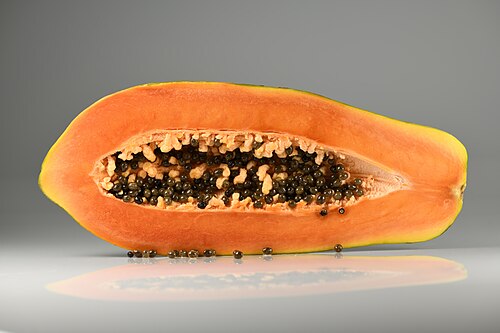 لب ثمرة البابايا