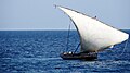 قارب شراعي في المحيط الهندي