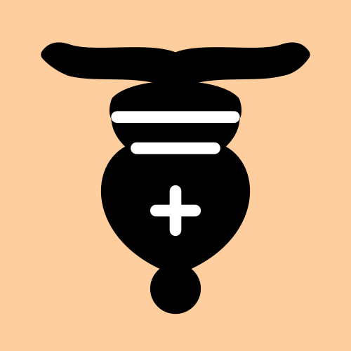 n13 B d