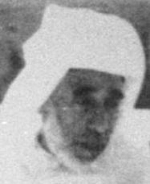 محمد بن عرفة من المغرب