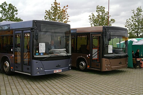 حافلات MAZ-203 و MAZ-206