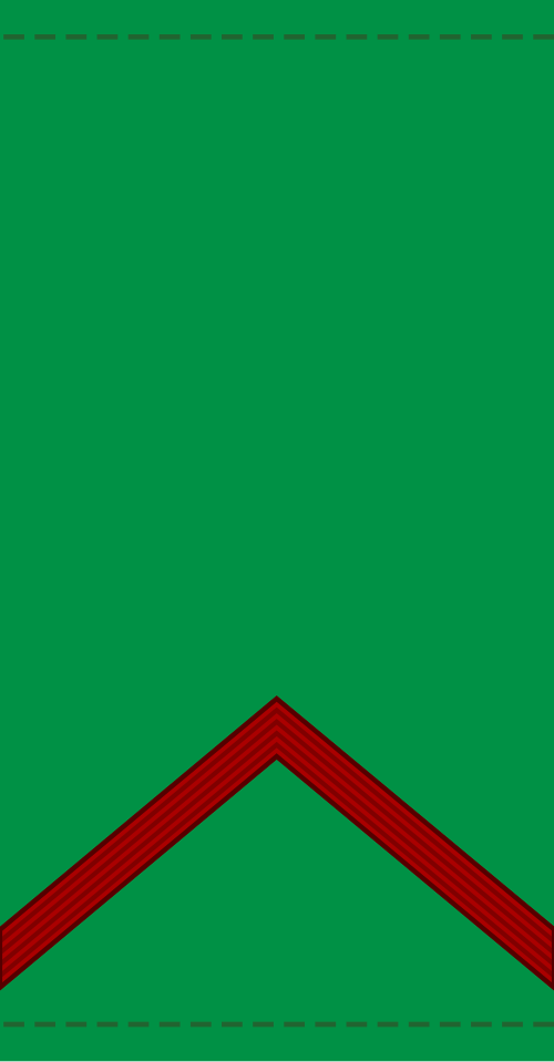 Soldat de 1re classe (الجيش المالي)