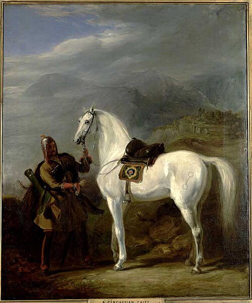 لوحة رسمها السير ويليام ألان عام 1843 لمحارب أديغهي
