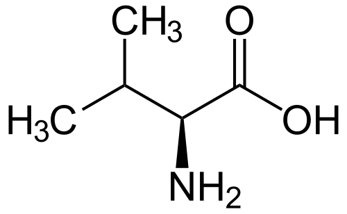 إل-فالين (فالين / ف)