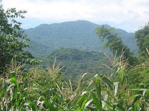 جبل بانوي