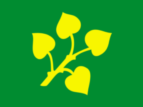 Flag of Stryn Municipality
