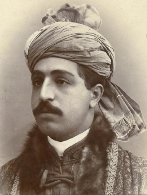 محمد يعقوب خان، أفغانستان