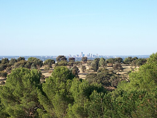 من جامعة فليندرز، 2006