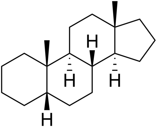 5β-أندروستان
