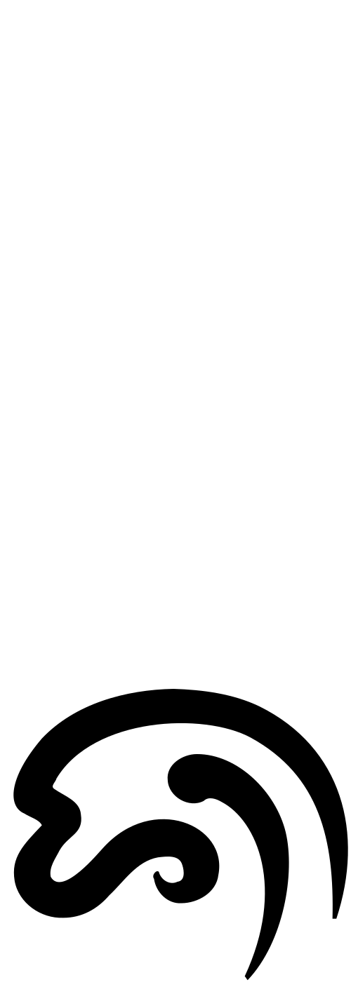 تاي ثام، حرف منخفض (◌᩠ᨩ)
