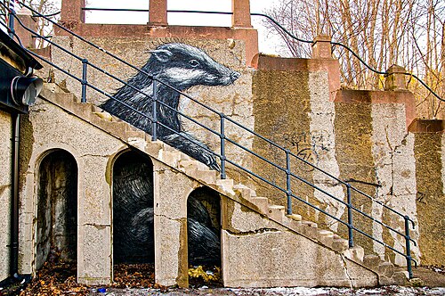 صورة الغرير ROA (2011) في Subtopia في بوتكيركا، مقاطعة ستوكهولم، السويد.