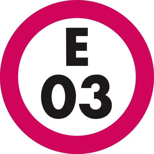 E-03