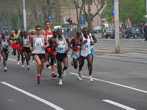 سباق الرجال في نسخة عام 2006