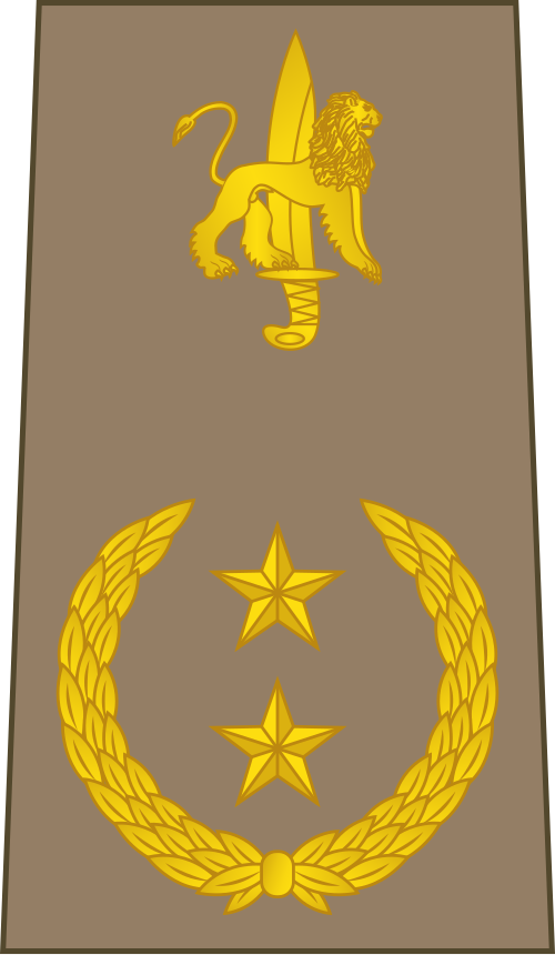 Général de brigade (القوات البرية الكونغولية)