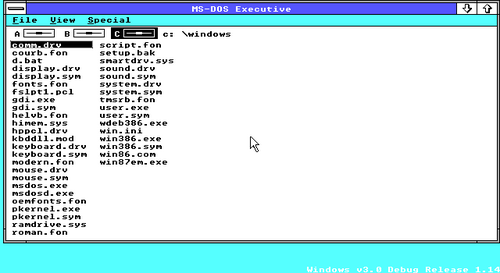سطح المكتب، مع نظام التشغيل MS-DOS، من نظام التشغيل Windows 3.0 الإصدار 14، وهو أقدم إصدار داخلي متاح.