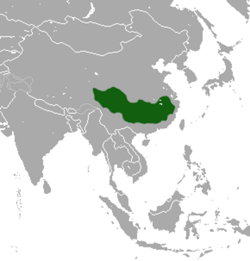 خريطة النطاق