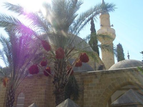 مسجد العرب أحمد