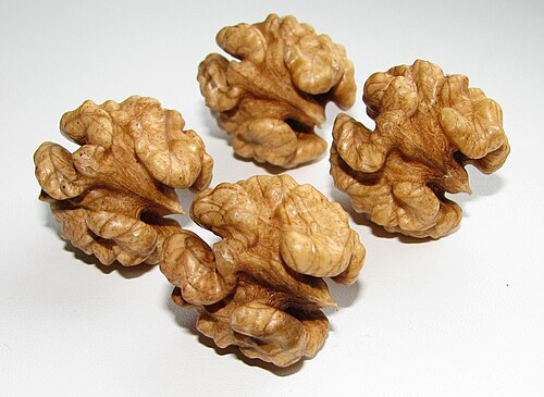 حبات الجوز