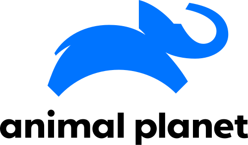 تصميم شعار Chermayeff & Geismar & Haviv لقناة Animal Planet (16 أكتوبر 2018-)