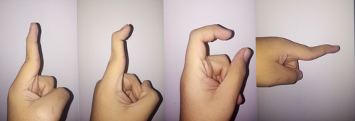 Movement of the three finger phalanges: distal, middle and proximal