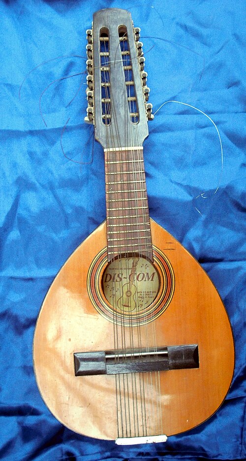 باندوريا (منظر أمامي)