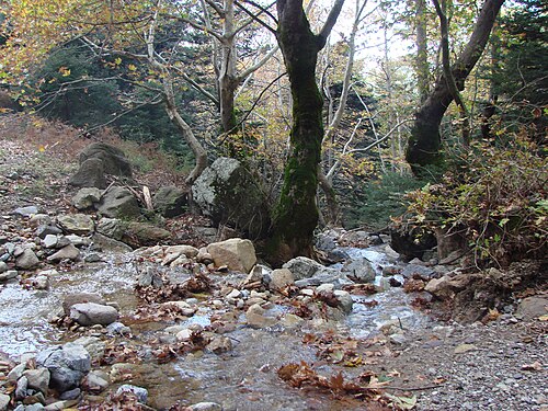 نهر صغير يتدفق بجوار جبل ديرفي