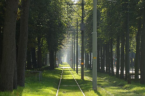 المسار الأخضر في Scheveningseweg، لاهاي، هولندا