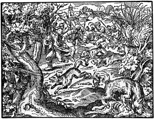 رسم لمطاردة الذئاب من Neuw Jag vnnd Weyderwerck Buch، فرانكفورت أم ماين 1582
