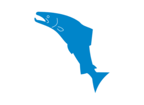 Flag of Grane Municipality