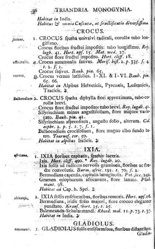 صفحة من كتاب لينيوس الصادر عام 1753 يصف زهرة الزعفران