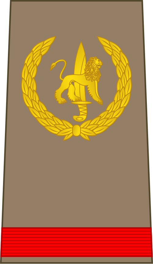 Soldat de 1re classe (القوات البرية الكونغولية)