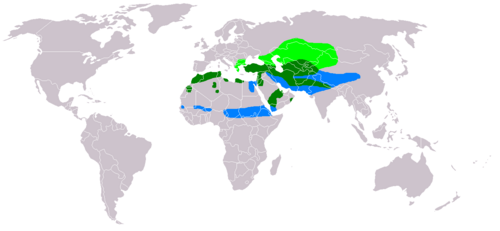 خريطة النطاق
