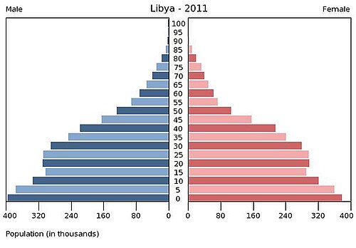 كان ما يقرب من نصف سكان ليبيا في عام 2011 يتألفون من أشخاص تقل أعمارهم عن 20 عامًا.